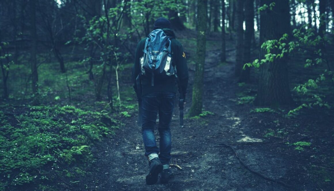 people walking fitness hiking 2616997
