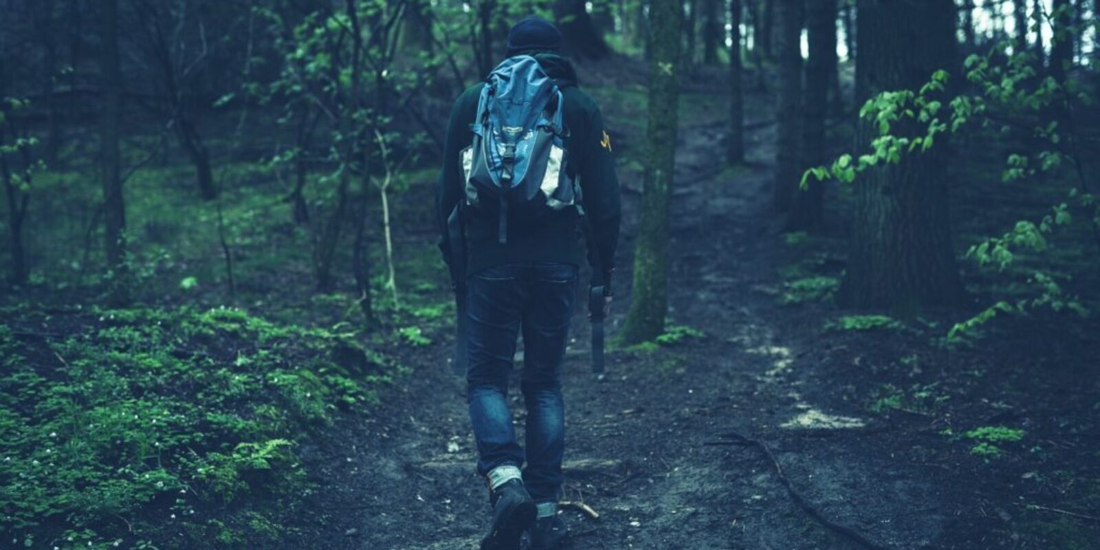 people walking fitness hiking 2616997