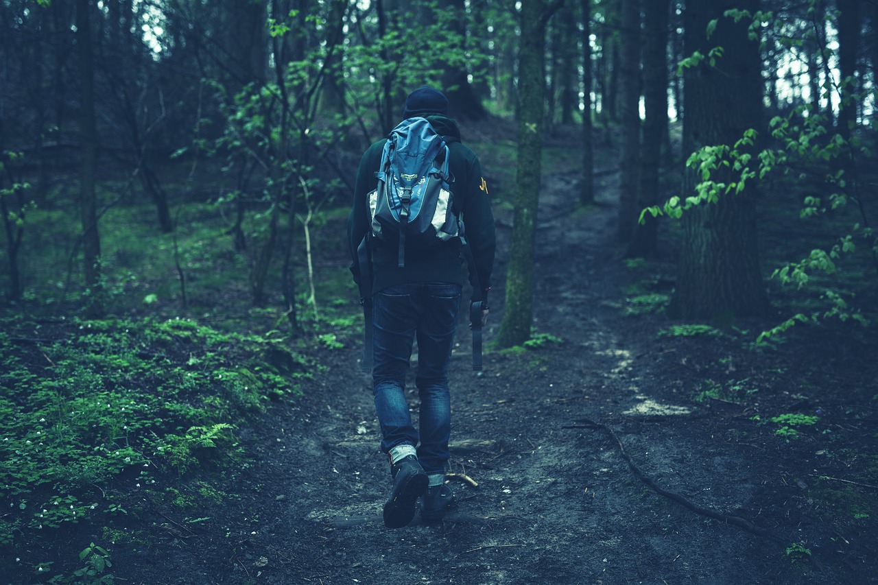 people walking fitness hiking 2616997