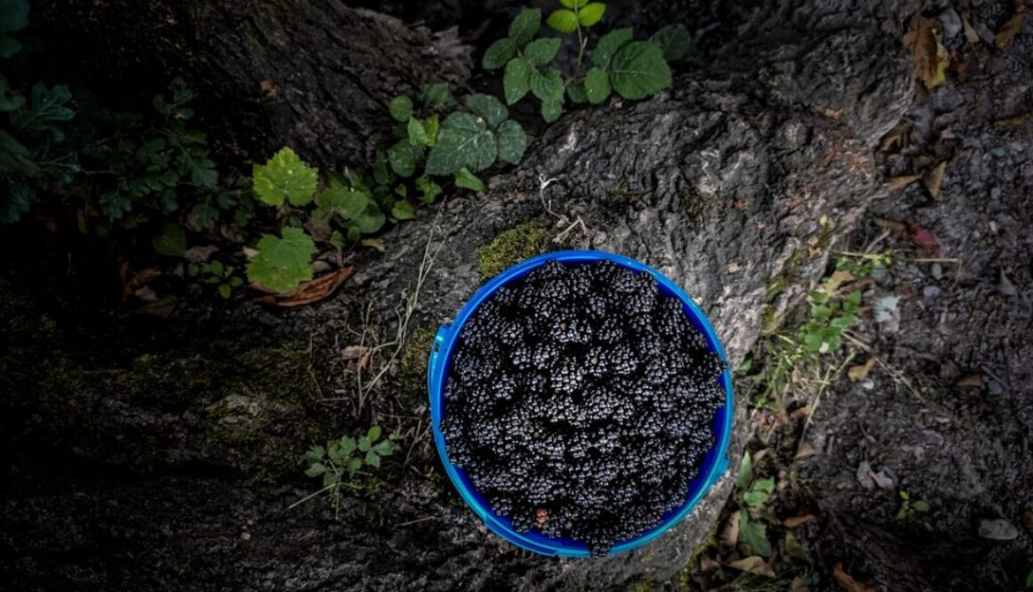 Kalkulator kalorii - poznaj dzienne zapotrzebowanie na kalorie i makroskładniki