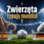 Od Paula do Achillesa. Jak zwierzęta typowały wielkie turnieje piłkarskie?